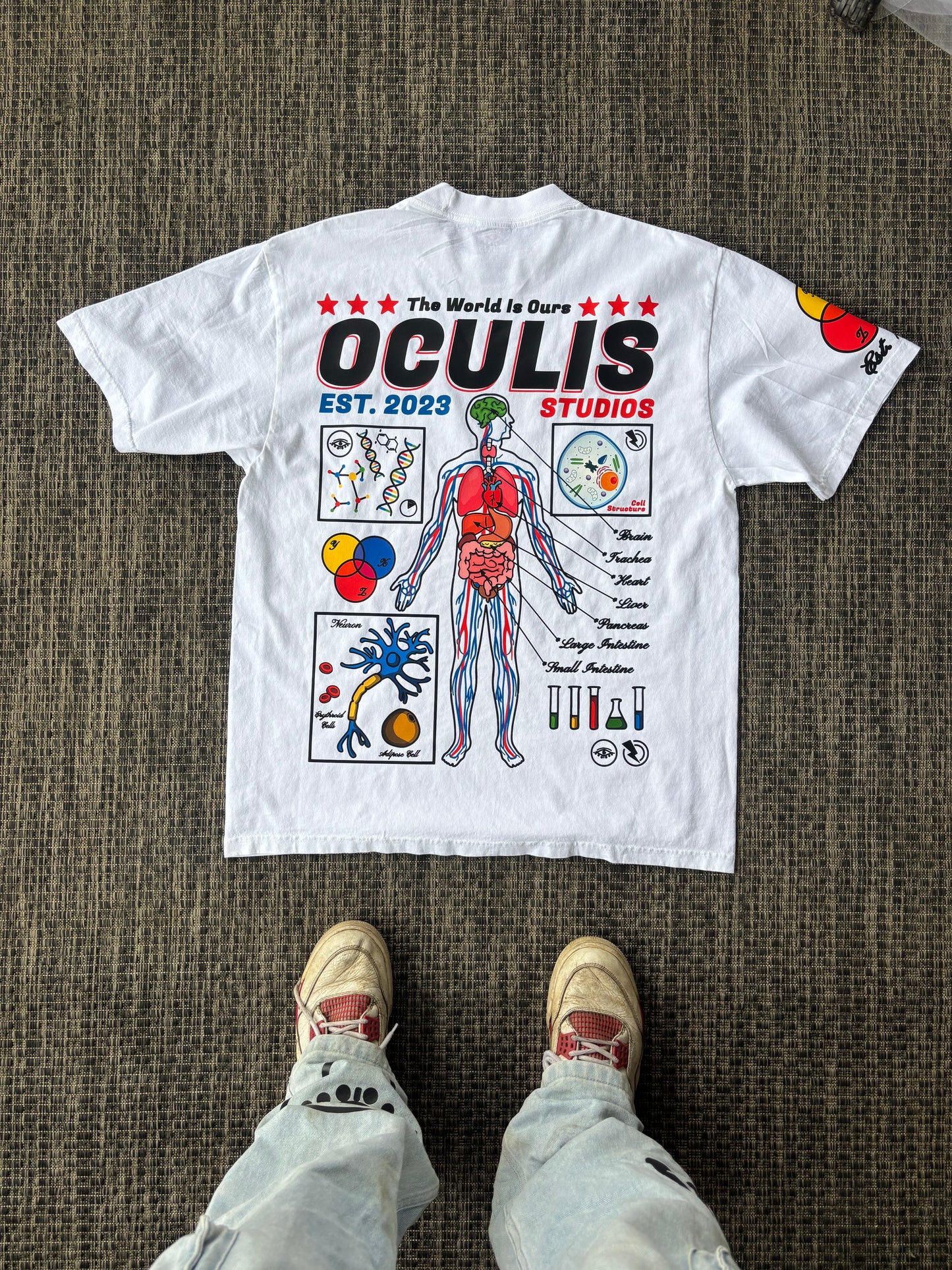 Anatomy Logo Tee (Sample)